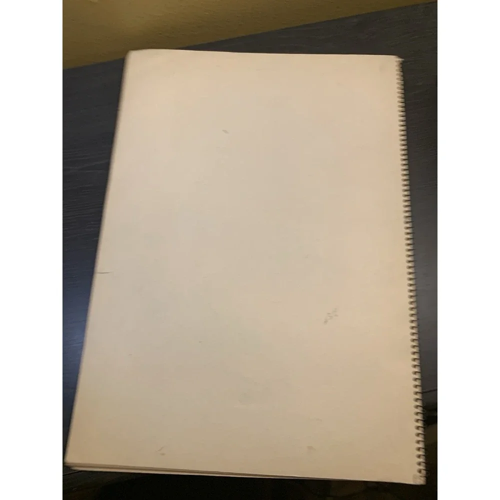 Vintage Scrapbook Spiral Bound Native American Art 15